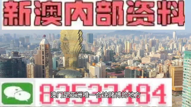 澳门最精准资料免费公开，澳门最精准资料免费公开，探索与揭秘