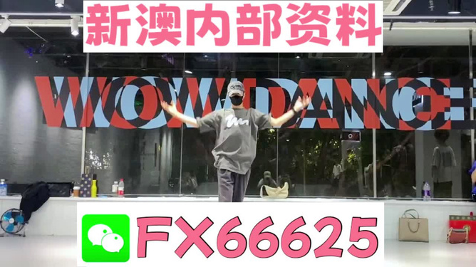 管家婆一码一肖一种大全，管家婆一码一肖一种大全，揭秘神秘预测背后的故事