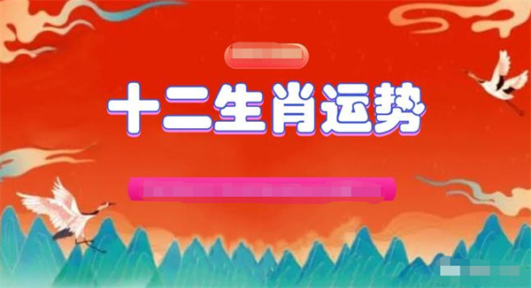 精准一肖一码一子一中，精准预测，一肖一码一子一中的奥秘与探索