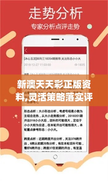新闻 第446页
