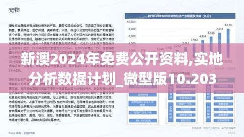 2025新澳正版免费资料，探索2025新澳正版免费资料的世界