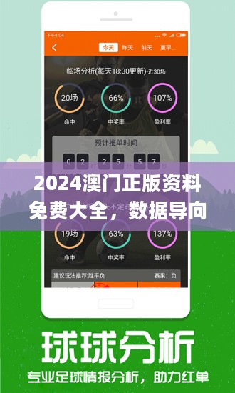澳门正版精准免费大全，澳门正版精准免费大全，探索与揭秘