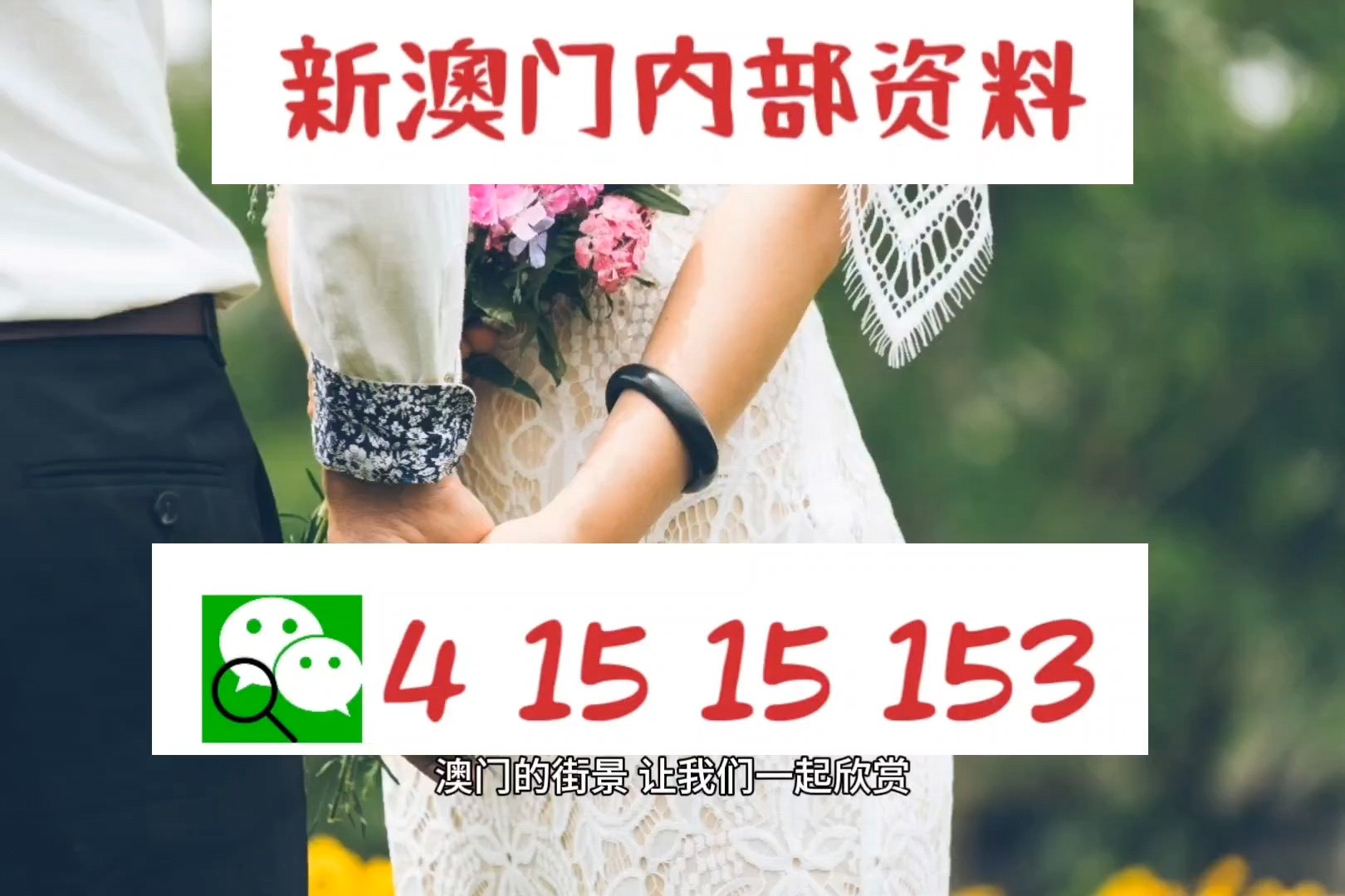新闻 第443页