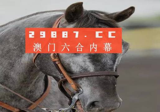 澳门最准一肖一码一码孑，澳门最准一肖一码一码孑，探索与解析