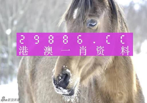 澳门一肖一码100%精准，澳门一肖一码，揭秘精准预测的神秘面纱