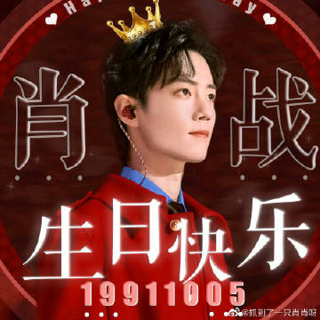 一肖一码一一肖一子，一肖一码一一肖一子，探寻背后的神秘与魅力