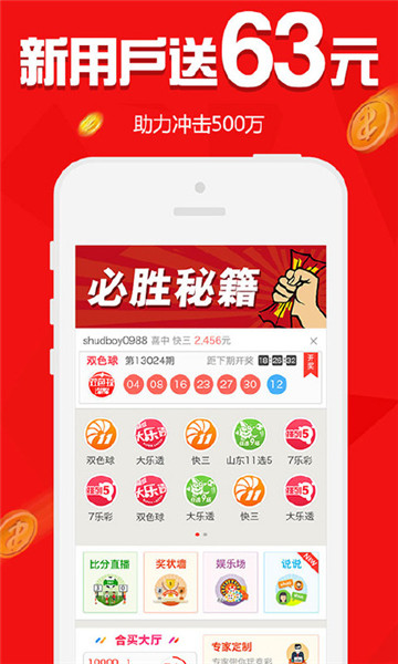 澳门一肖100准免费，澳门一肖100准免费——揭秘澳门生肖彩票的魅力与真相