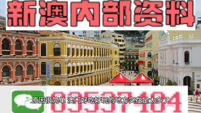 澳门最精准免费资料大全旅游团，澳门最精准免费资料大全与旅游团，探索澳门之旅的完美指南