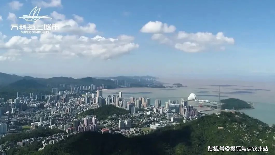 新澳天天开奖资料大全最新54期129期，新澳天天开奖资料大全最新解析，第54期至第129期深度探讨