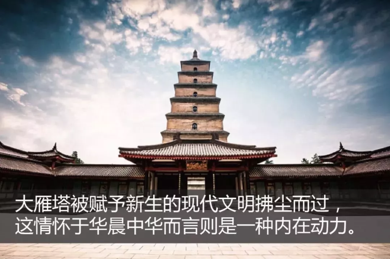 澳门100%最准一肖，澳门100%最准一肖，探寻背后的秘密与真相
