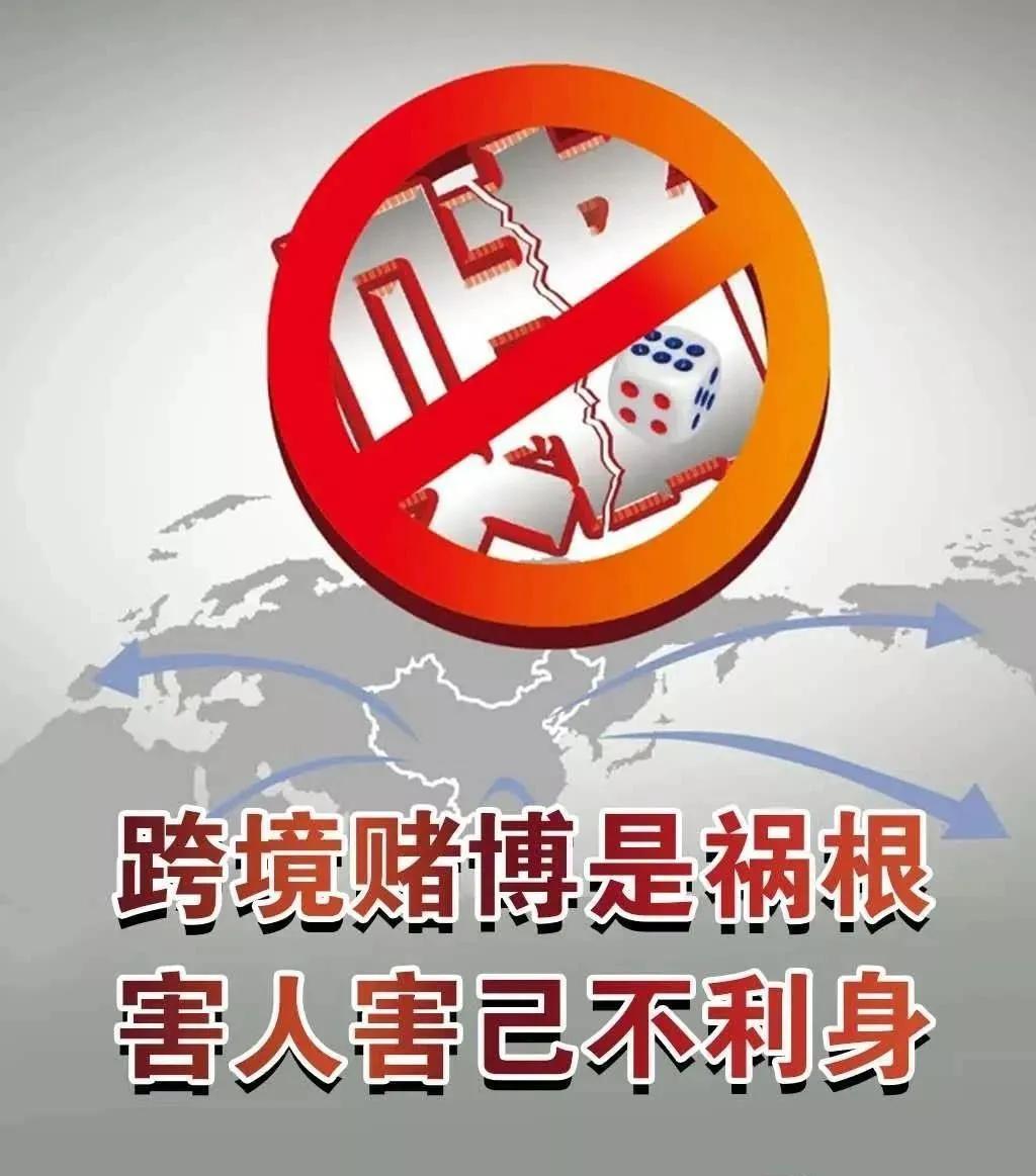 2025澳门天天六开彩免费资料，关于澳门彩票的真相与警示——远离赌博犯罪，珍惜美好生活