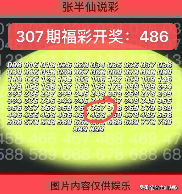7777788888精准一肖，揭秘彩票背后的神秘数字，精准一肖与数字组合的魅力——以数字组合77777与88888为例