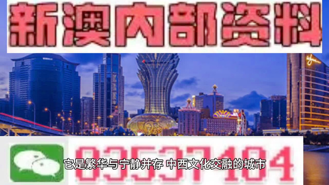 新澳门免费资料大全在线查看，新澳门免费资料大全在线查看，探索与体验