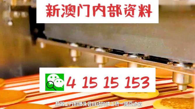 澳门精准王中王三肖三码2025特色，澳门精准王中王三肖三码，探索特色与奥秘（2025年展望）