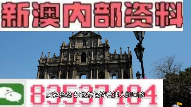 新澳门资料大全免费新鼬，新澳门资料大全免费新鼬，深度探索与解析