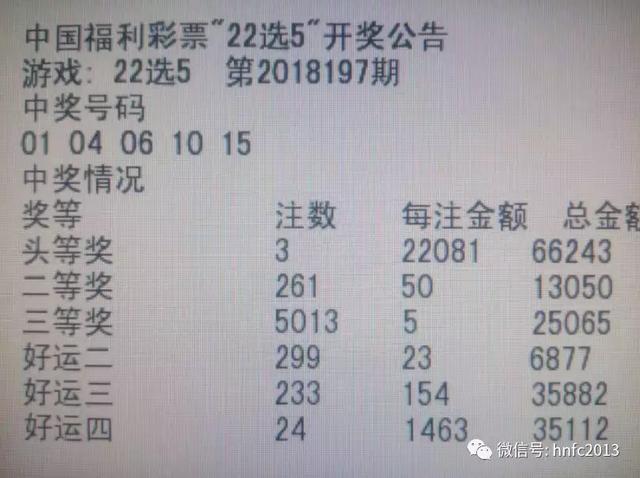 白小姐一肖一码100准261期，白小姐一肖一码，揭秘彩票背后的秘密与期待的第261期奇迹