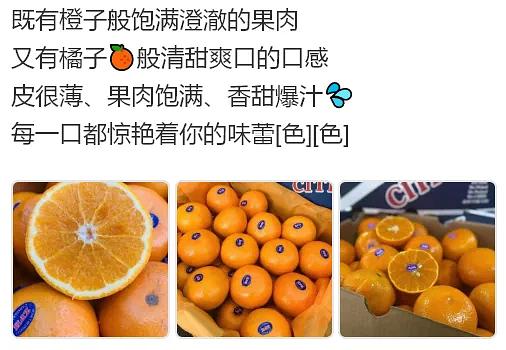 新澳好彩免费资料查询水果奶奶，新澳好彩免费资料查询与水果奶奶的故事