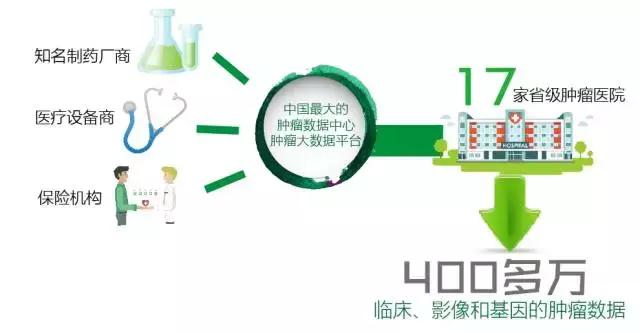 最准一码一肖100%精准，揭秘最准一码一肖，100%精准预测的秘密