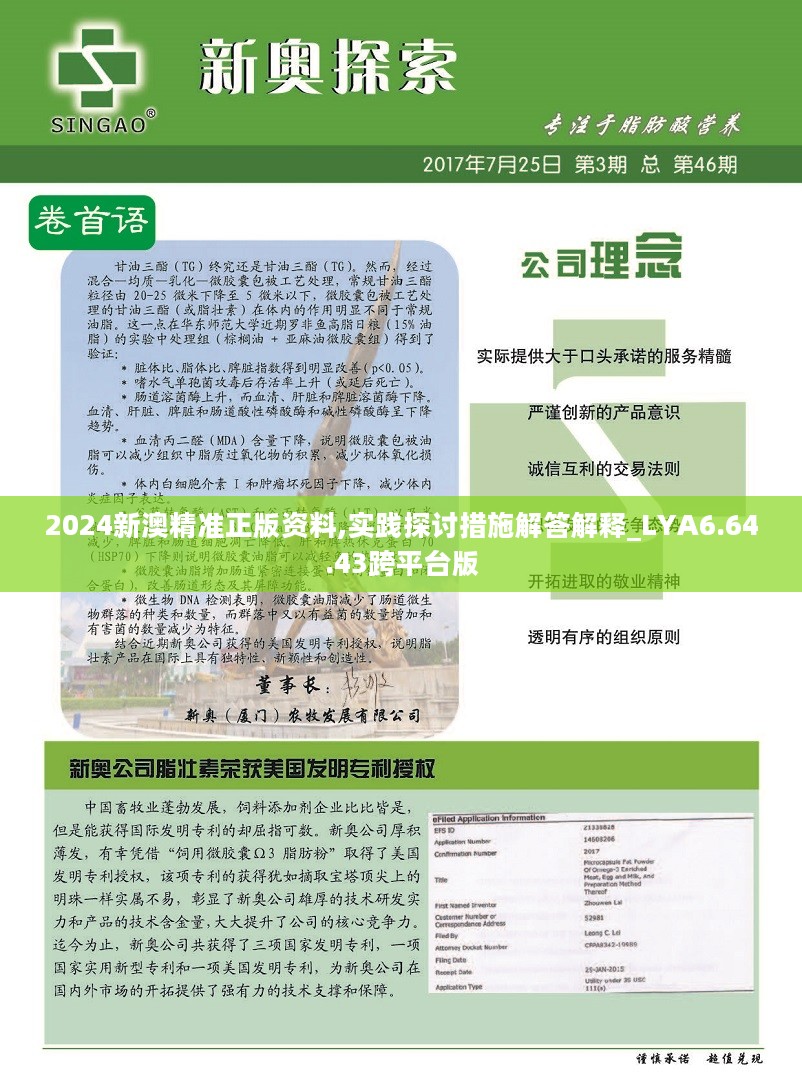 新澳精准资料免费提供403，新澳精准资料免费提供，深度解析与实际应用