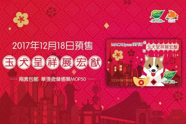 澳门正版资料大全资料生肖卡，澳门正版资料大全与生肖卡的独特魅力
