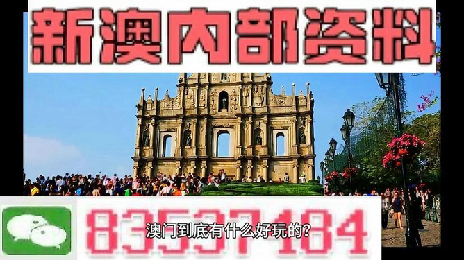 澳门内部最准资料澳门，澳门内部最准资料澳门，探索真实与信息的交汇点