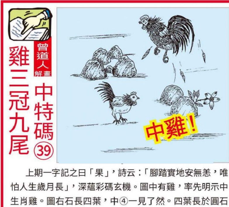澳门王中王100的准资料，澳门王中王100的准资料，揭秘彩票背后的秘密