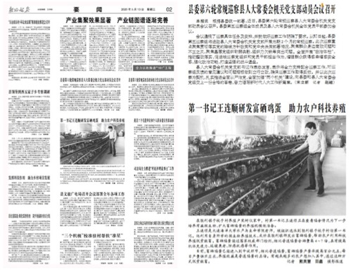 澳门最精准正最精准龙门蚕，澳门最精准正最精准龙门蚕——探索命运之门的新篇章