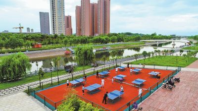 新奥门免费资料大全历史记录开马，新澳门免费资料大全，历史记录与赛马文化