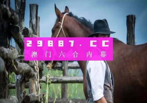 澳门一肖一码一一子，澳门一肖一码一一子，探索背后的神秘与文化内涵