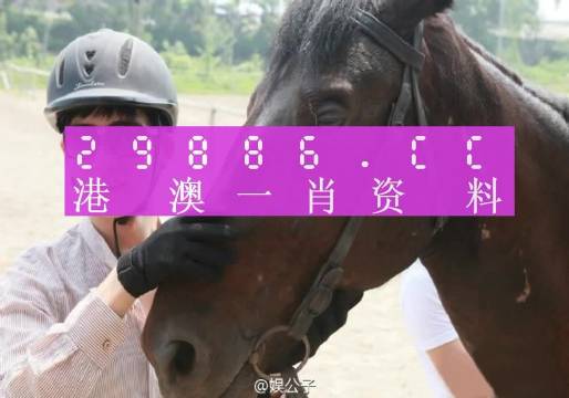 澳门必中一一肖一码服务内容，澳门必中一一肖一码服务内容详解