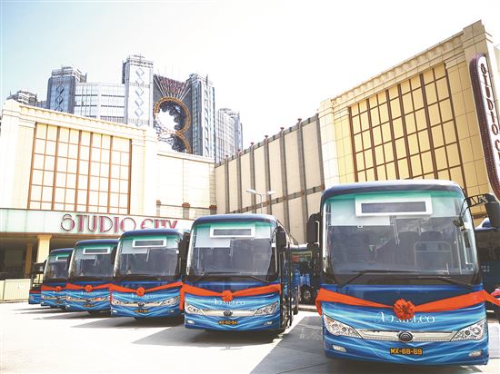 2025新澳门正版免费资木车，探索澳门未来，新澳门正版免费资讯与木车文化之旅