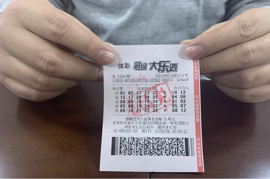 2025澳门今晚必开一肖，澳门今晚必开一肖——探寻生肖彩票的魅力与玄机