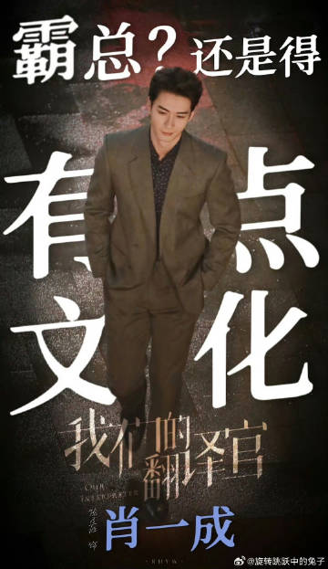 一肖一码一一肖一子，一肖一码一一肖一子，探寻背后的神秘与魅力