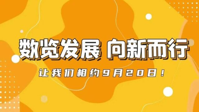 澳门一码一肖一特一中管家婆，澳门一码一肖一特一中管家婆，揭秘与探索