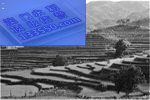 2025澳门今天晚上开什么生肖啊，澳门生肖预测与未来展望，探寻2025年生肖奥秘