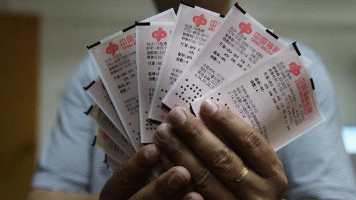 白小姐一肖一码100正确，白小姐一肖一码，揭秘彩票背后的秘密与真实故事