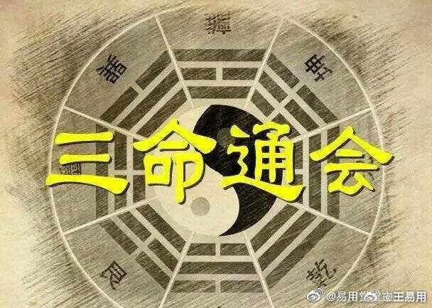 精准一肖一码一子一中，精准预测一肖一码一子一中，探索命理学的奥秘