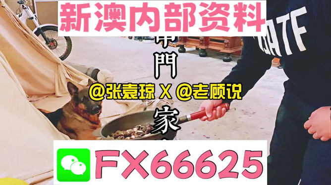 新澳门精准资料大全管家婆料，新澳门精准资料大全与管家婆料，探索与解析