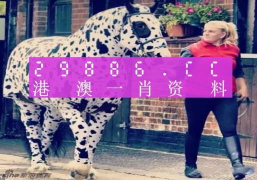 最准一肖一码一一香港澳王一王，最准一肖一码，香港澳王一王的独特预测艺术