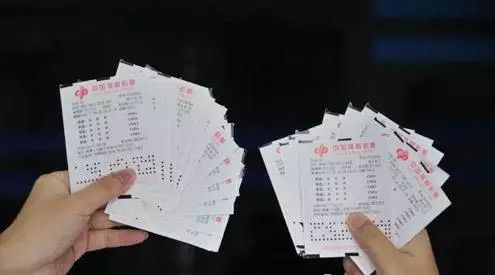 一肖一码免费,公开，一肖一码免费公开，揭秘彩票背后的秘密