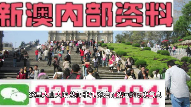 澳门最精准免费资料大全旅游团，澳门最精准免费资料大全与旅游团，探索澳门之旅的完美指南