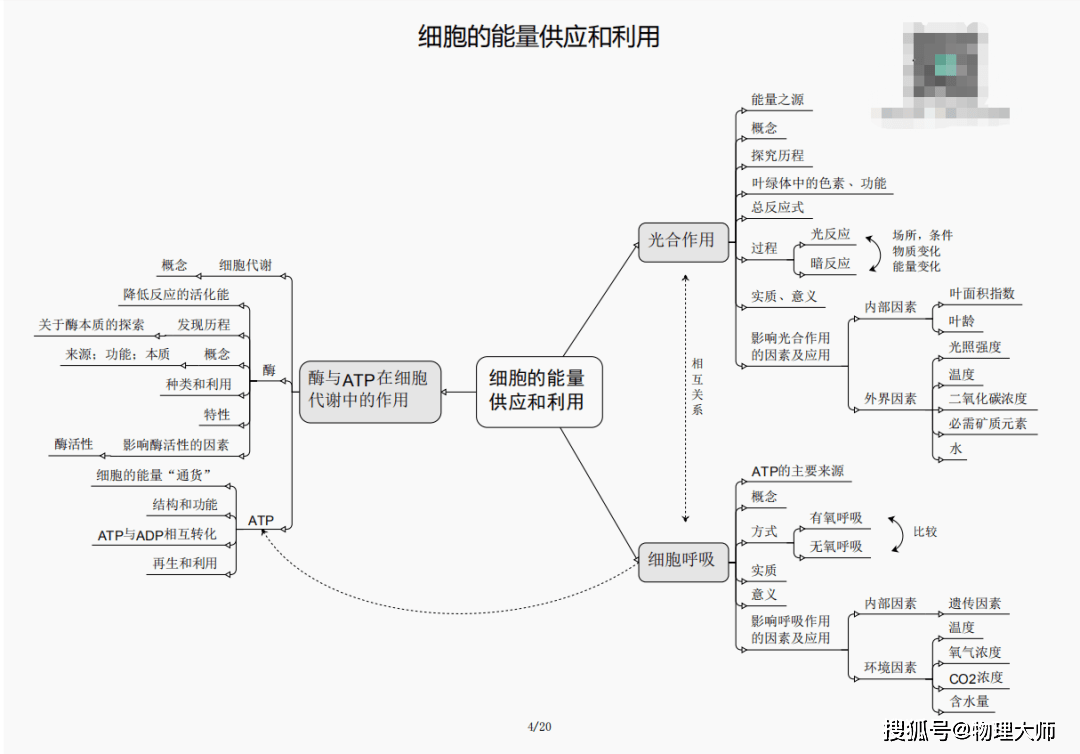 白小姐三肖三期必出一期开奖，白小姐三肖三期必出一期开奖——揭秘彩票神话