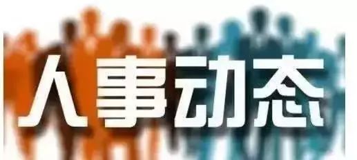 伊犁州最新干部任免，伊犁州最新干部任免动态