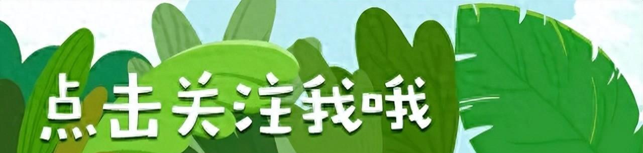 2024女排最新新闻，揭秘2024女排最新新闻，备战奥运，展现雄心壮志