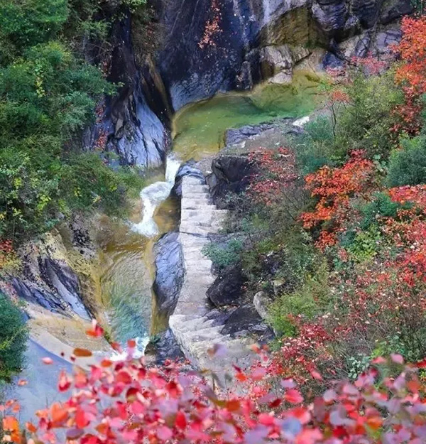 山阳县杨地镇最新消息，山阳县杨地镇最新消息概览