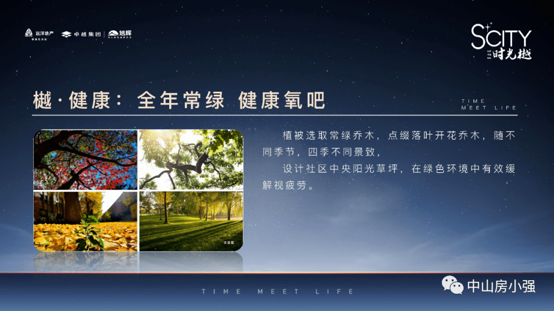 中铁王士奇最新消息，中铁王士奇最新消息全面解析