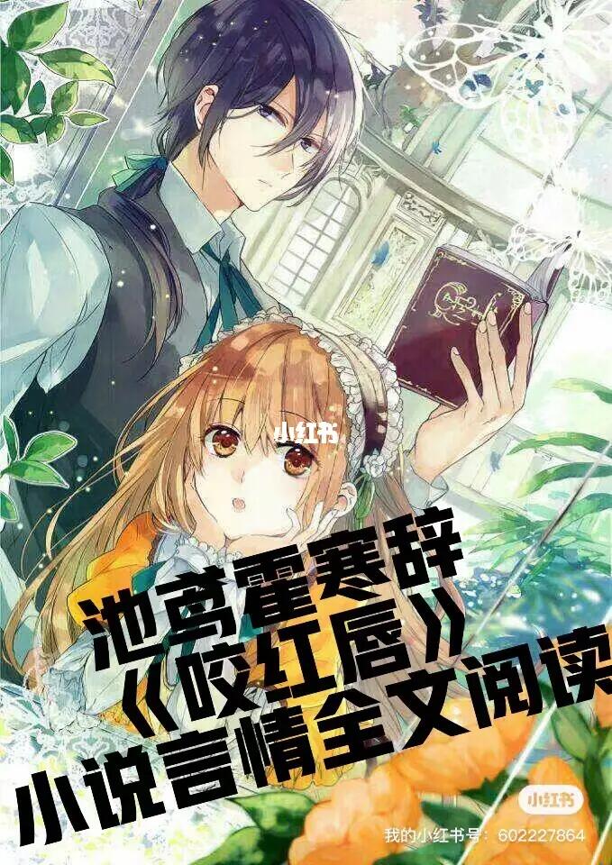 霍寒辞和池鸢全文免费阅读最新，霍寒辞与池鸢，一场深情与执着的免费阅读之旅