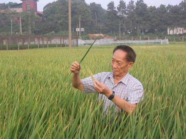 贾斯汀赛琳娜最新消息，贾斯汀与赛琳娜的最新消息，音乐与爱情的交响乐章