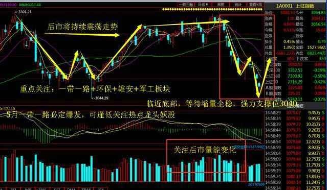 连云港股票停牌最新消息，连云港股票停牌最新消息深度解析