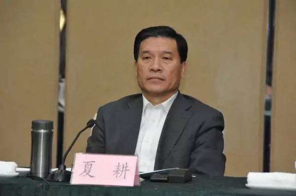 青岛张新起最新消息，青岛张新起最新消息全面解析